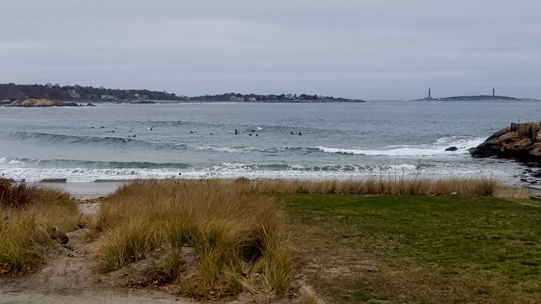 20161119_122219_001-animation