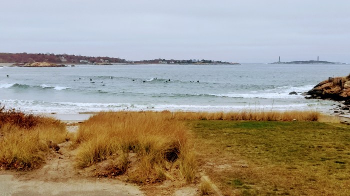 20161119_122221_001-1