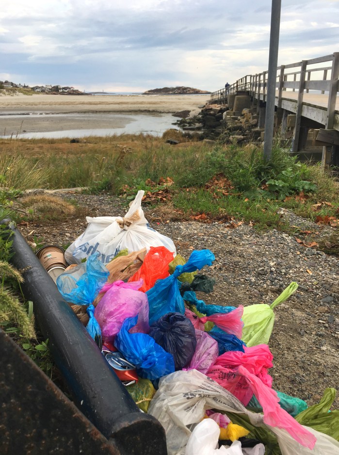 bags-of-poop-left-at-beach-2-copyright-kim-smith