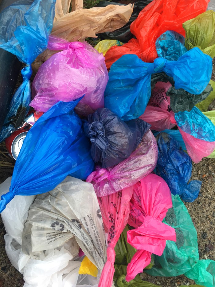 bags-of-poop-left-at-beach-copyright-kim-smith