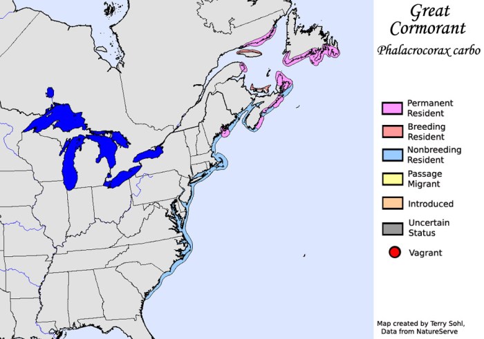 great_cormorant_map_large
