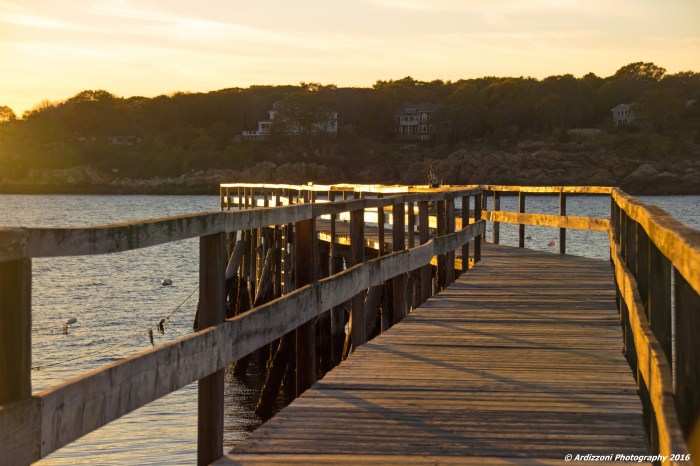 november-1-2016-curve-appeal-of-magnolia-pier