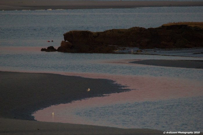 november-12-2016-pink-sand-and-ocean