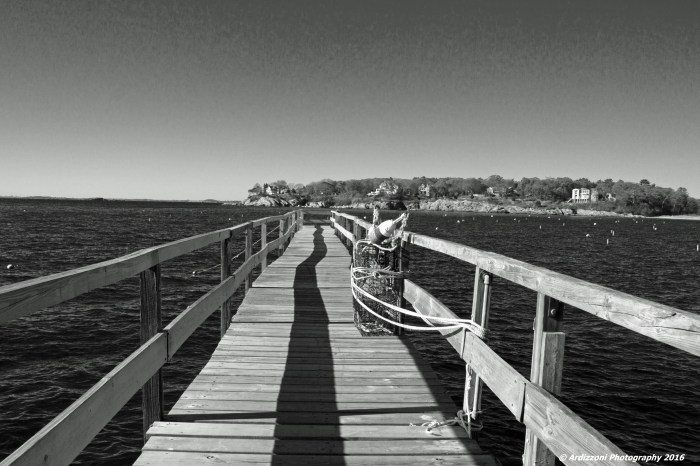 november-14-2016-black-and-white-magnolia-pier2