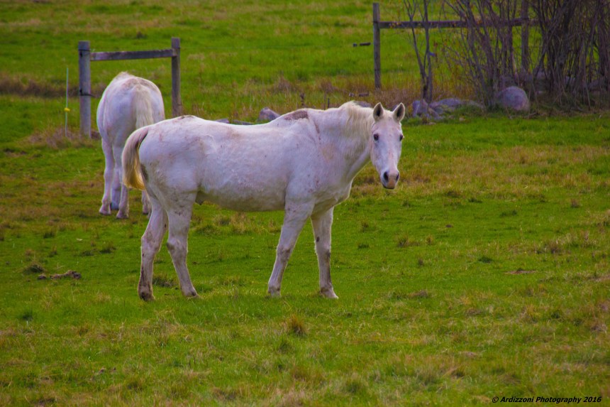 november-2-2016-are-you-looking-at-me