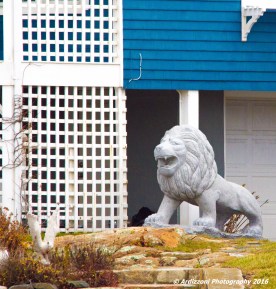 november-20-2016-the-roar-of-the-lion-near-long-beach