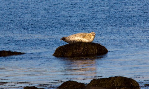 november-28-2016-are-you-looking-at-me