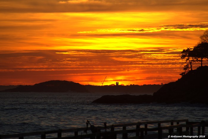 november-8-2016-gods-work