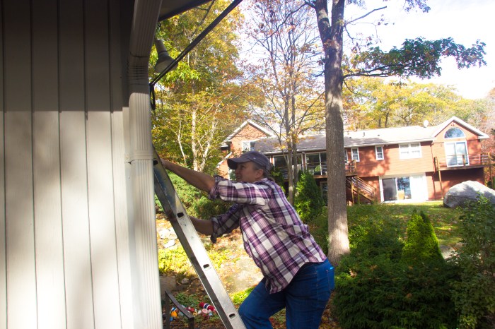 october-30-2016-fob-bex-from-cape-ann-handywoman