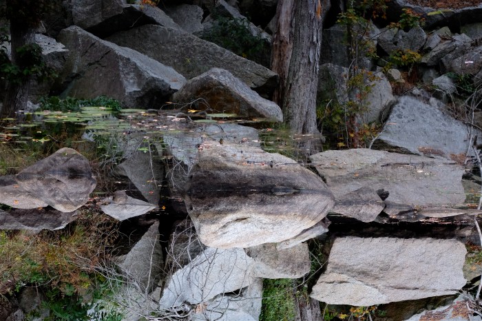 rock-refelctions-1-copyright-kim-smith