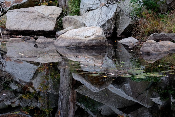 rock-refelctions-2-copyright-kim-smith