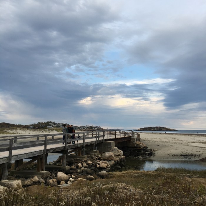 sappia-family-good-harbor-beach-copyright-kim-smith