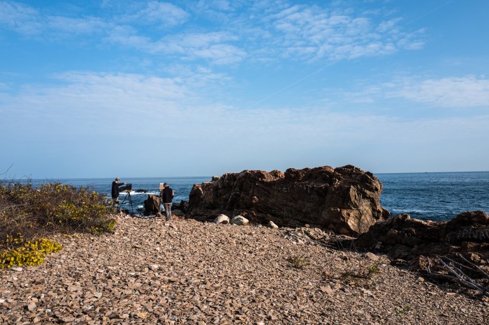 two-views-backshore-1000090