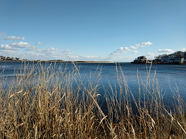 burst_cover_gif_action_20161215122311