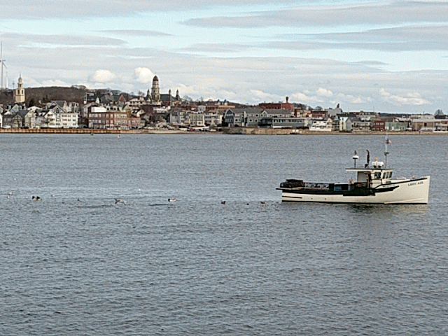 burst_cover_gif_action_20161228110950