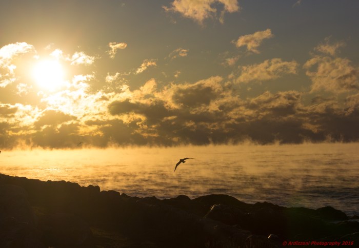december-16-2016-early-morning-sea-smoke