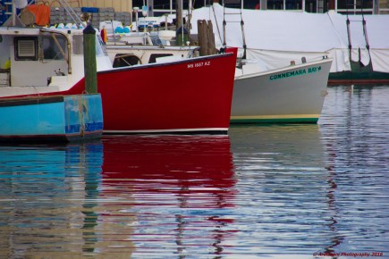 december-6-2016-hanging-in-the-harbor