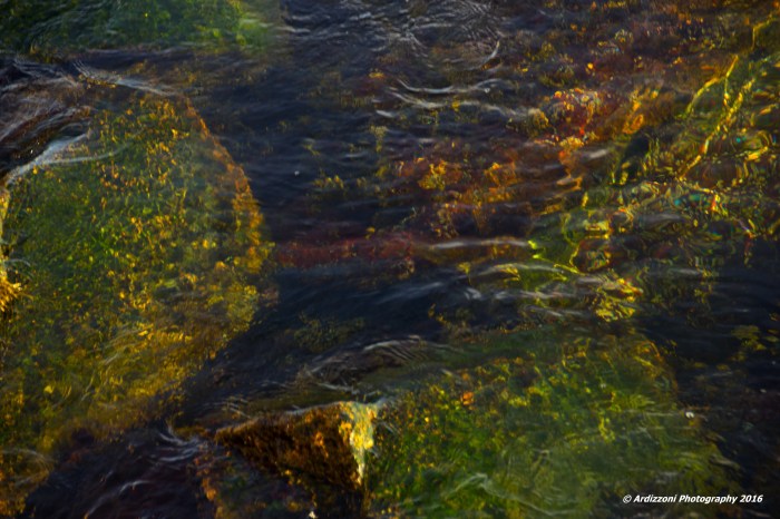 december-6-2016-what-is-this