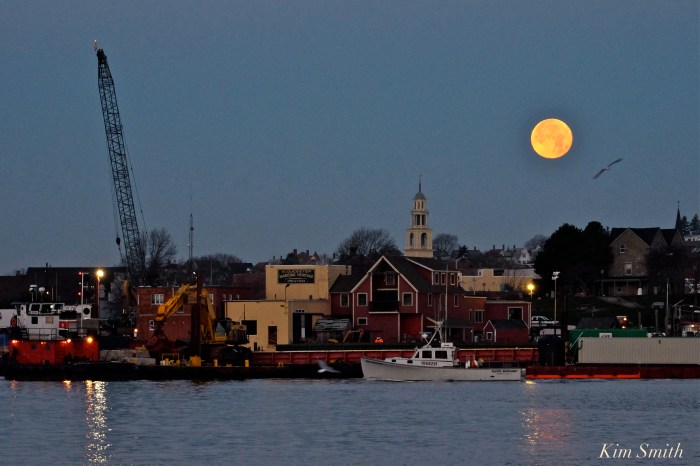 full-cold-moon-frosty-moon-december-2016-maritime-gloucester-ma-3-copyright-kim-smith