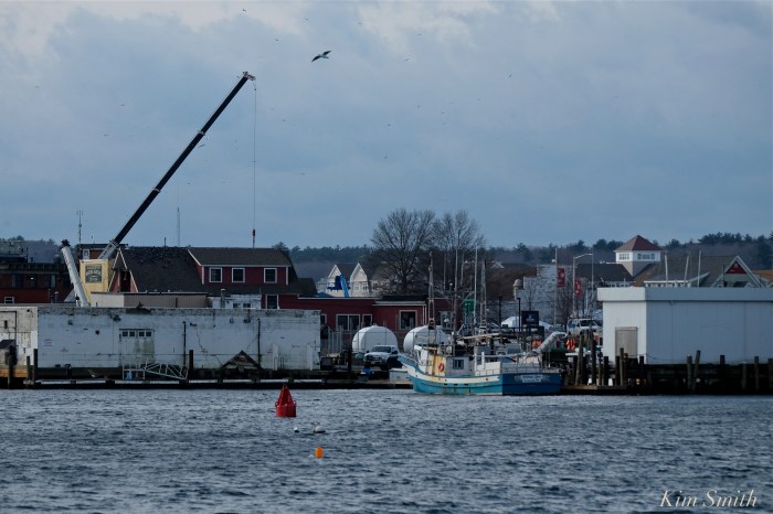 gloucester-harbor-copyright-kim-smith