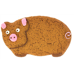 image_on_food_iced_gingerbread_pig