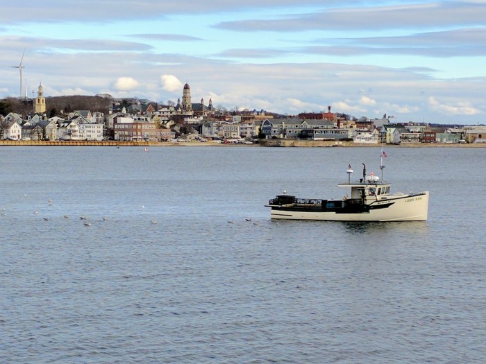 img_20161228_110942-3