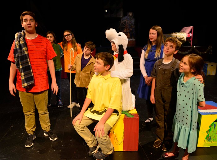 linus_charlie_brownand-friends_0025