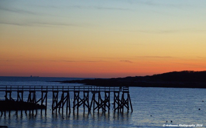 november-28-2016-love-magnolias-sunset