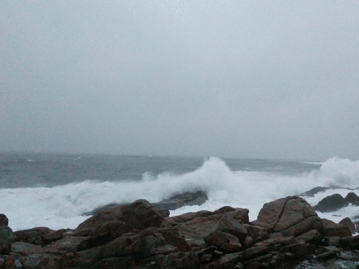 20170124_075900-animation