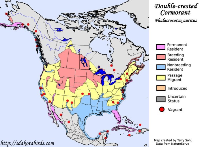 double_crested_cormorant_map_big