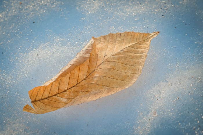 dscf6709-edit-edit-edit