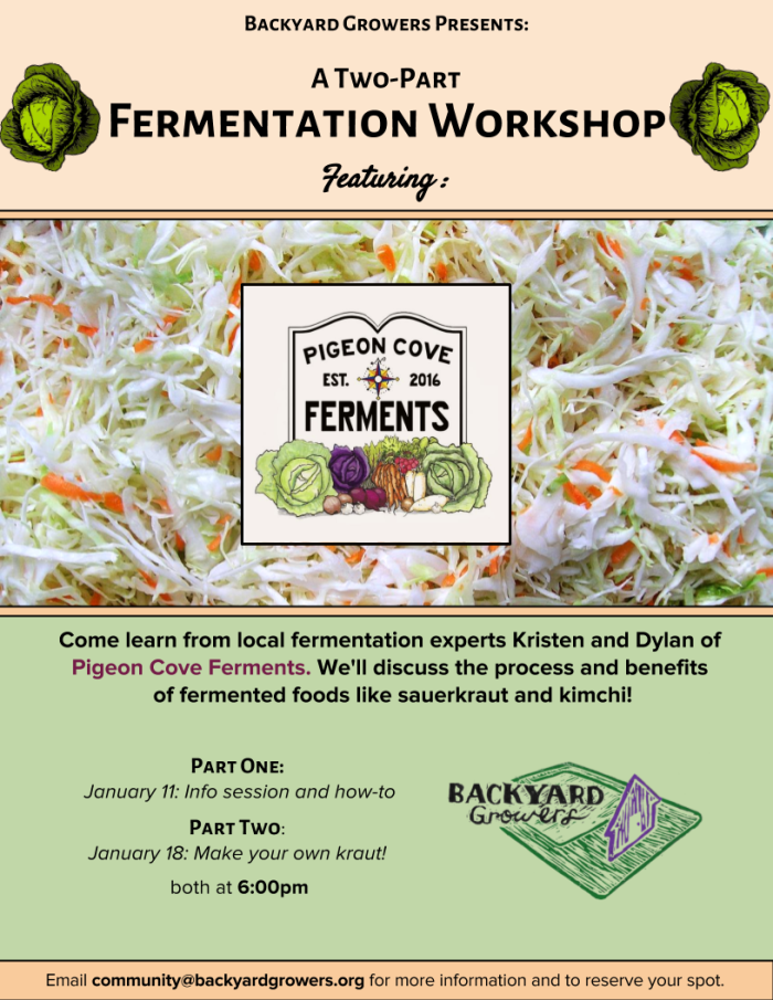 fermentation-workshop