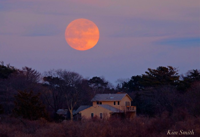 full-moon-wolf-moon-niles-pond-gloucester-cape-ann-copyright-kim-smith