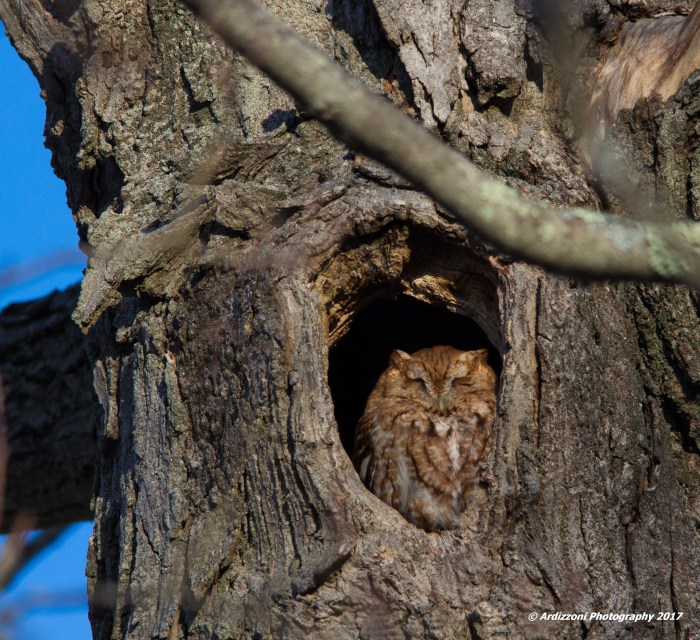 january-16-2017-are-you-winking-at-me