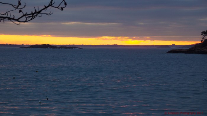 january-21-2017-touch-of-color1