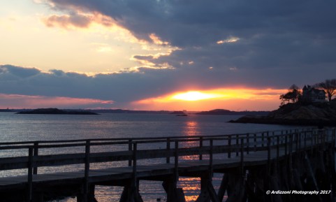 january-29-2017-another-beauty1