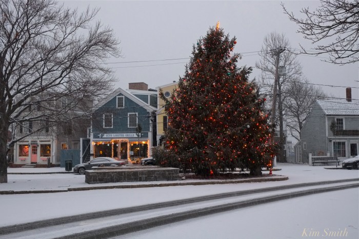 rockport-christmas-tree-molly-johnson-copyright-kim-smith