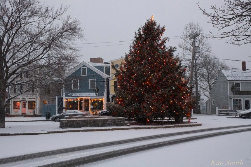 rockport-christmas-tree-molly-johnson-copyright-kim-smith