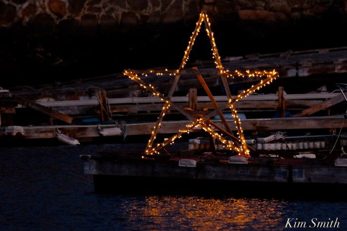 rocky-neck-star-2-copyright-kim-smith