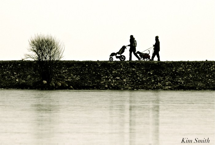 silhouettes-copyright-kim-smith