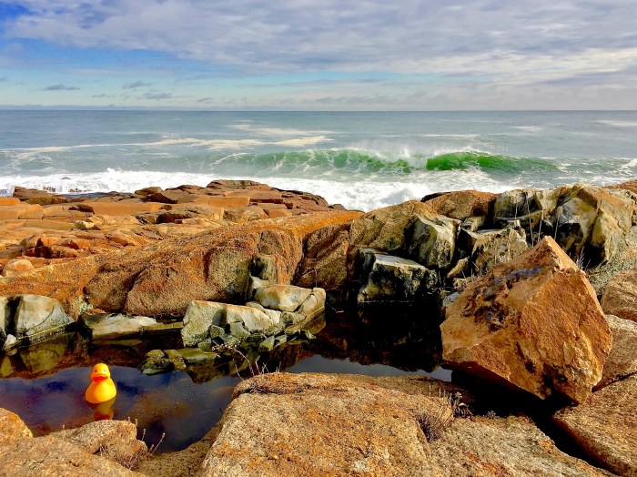 Rubber Duck plays it safe and swims in the Dolerite Dike fault.
