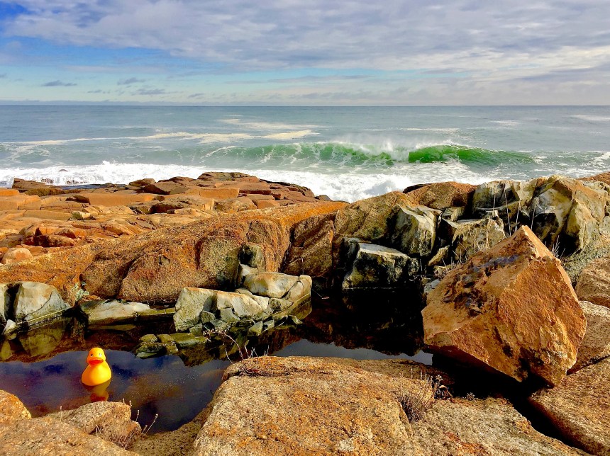 Rubber Duck plays it safe and swims in the Dolerite Dike fault.
