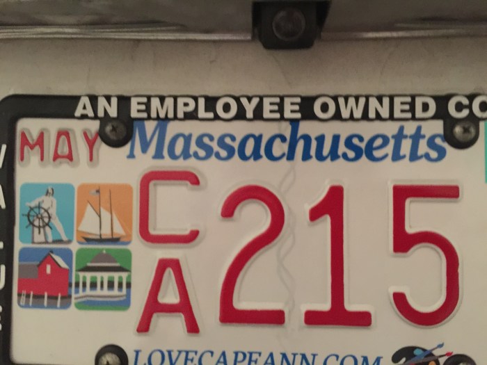 0a43256c-b435-4b00-8ae6-dbbe0edb0132