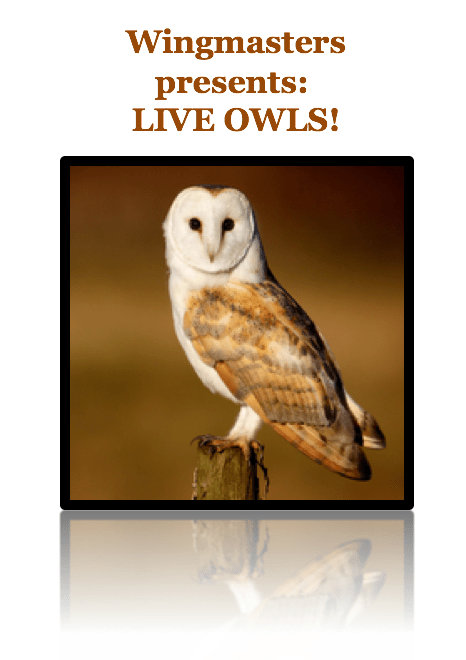 16708305_10154416087188063_9087035592895777597_n