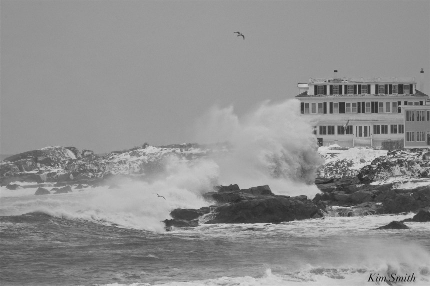 bass-rocks-ocean-inn-2-gloucester-february-2017-snowstorm-copyright-kim-smith-jpg
