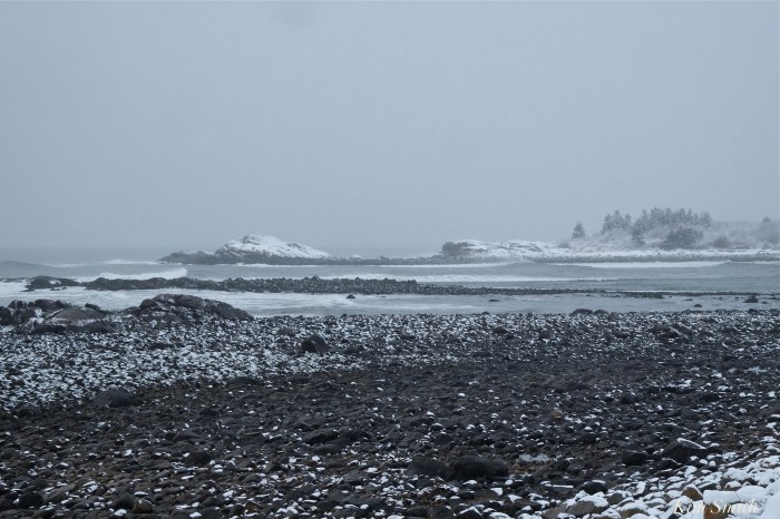 brace-cove-snowy-day-gloucester-copyright-kim-smith
