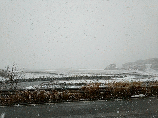 burst_cover_gif_action_20170207123346