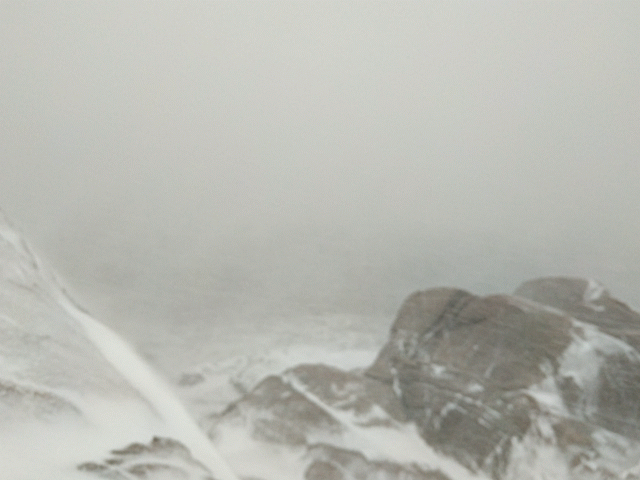 burst_cover_gif_action_20170209160011