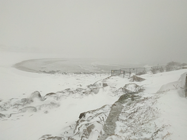 burst_cover_gif_action_20170209162942