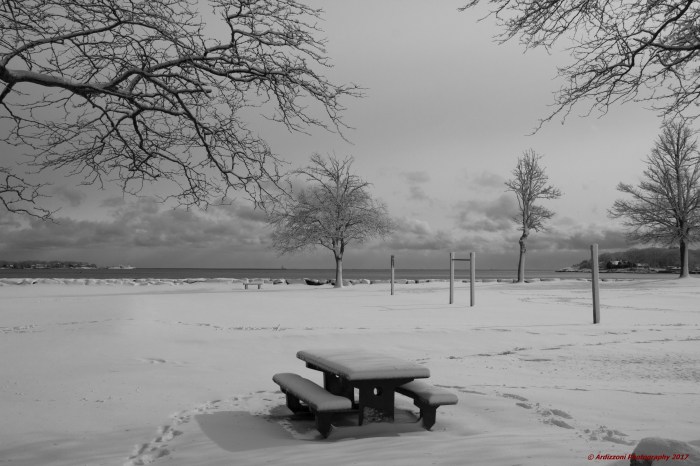 february-16-2017-waiting-for-summer-and-a-picnic